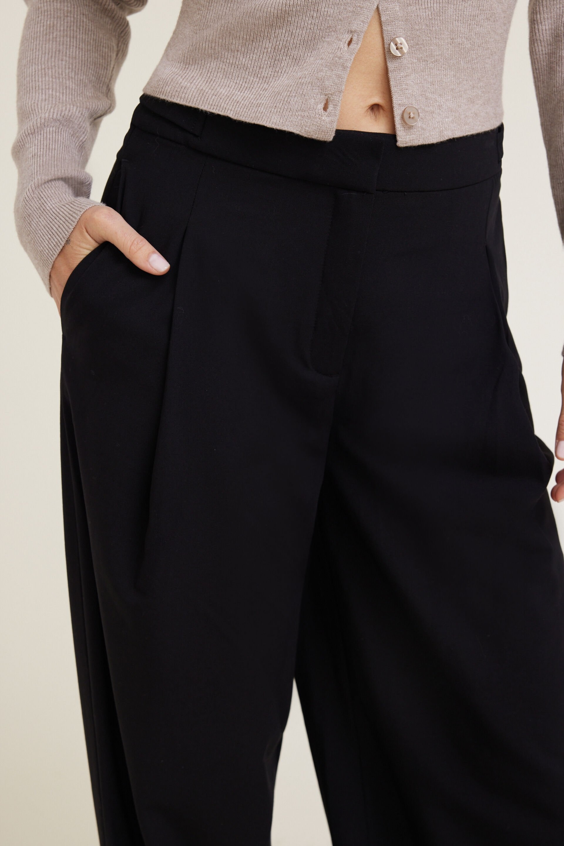 Leni Pleated Wide Leg Pants