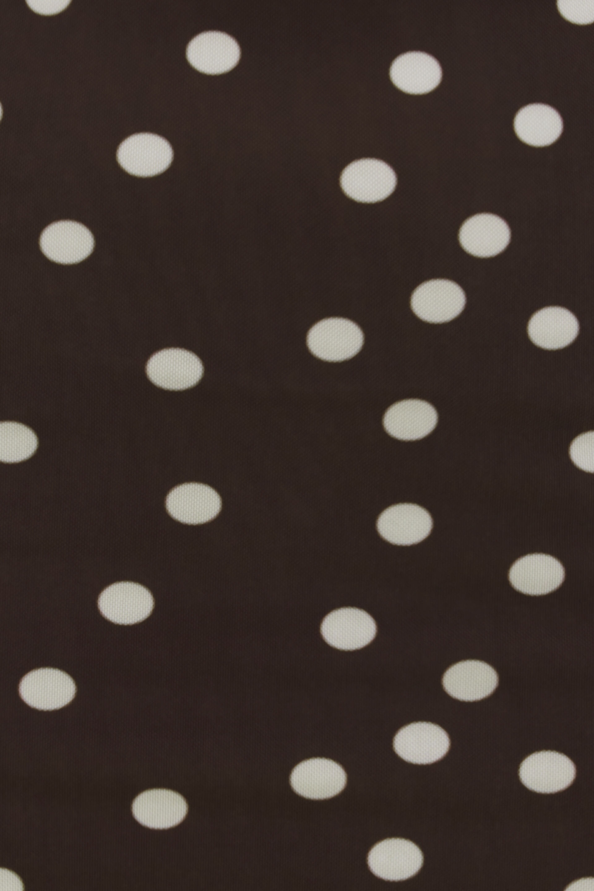 Polka Dot Mesh Maxi Dress