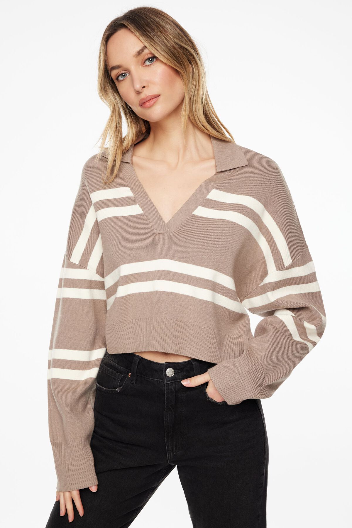 Dynamite Cropped Polo Sweater. 1