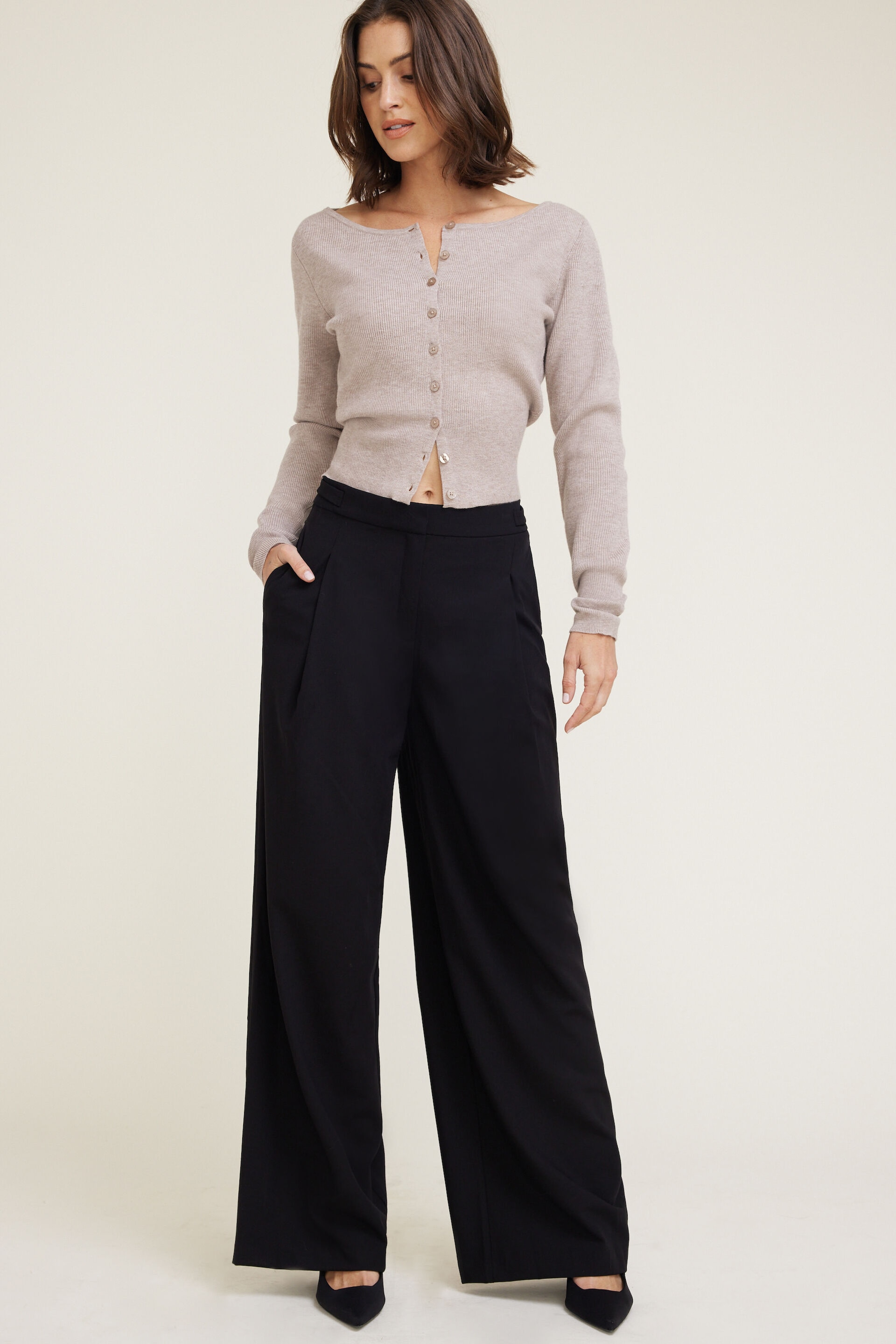 Leni Pleated Wide Leg Pants