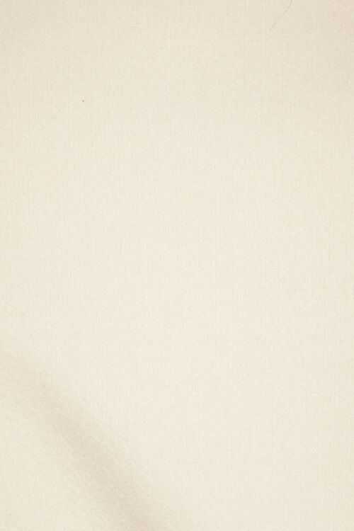 Alternative view # 3 of Dynamite Marina Santarossa | @marinarossa Bomber Jacket in Rainy Day Beige