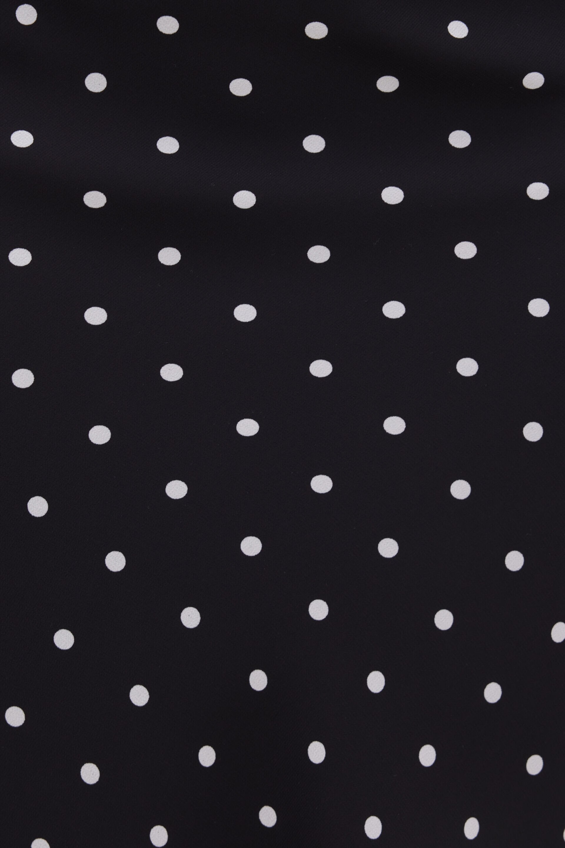 Polka Dot Midi Skirt