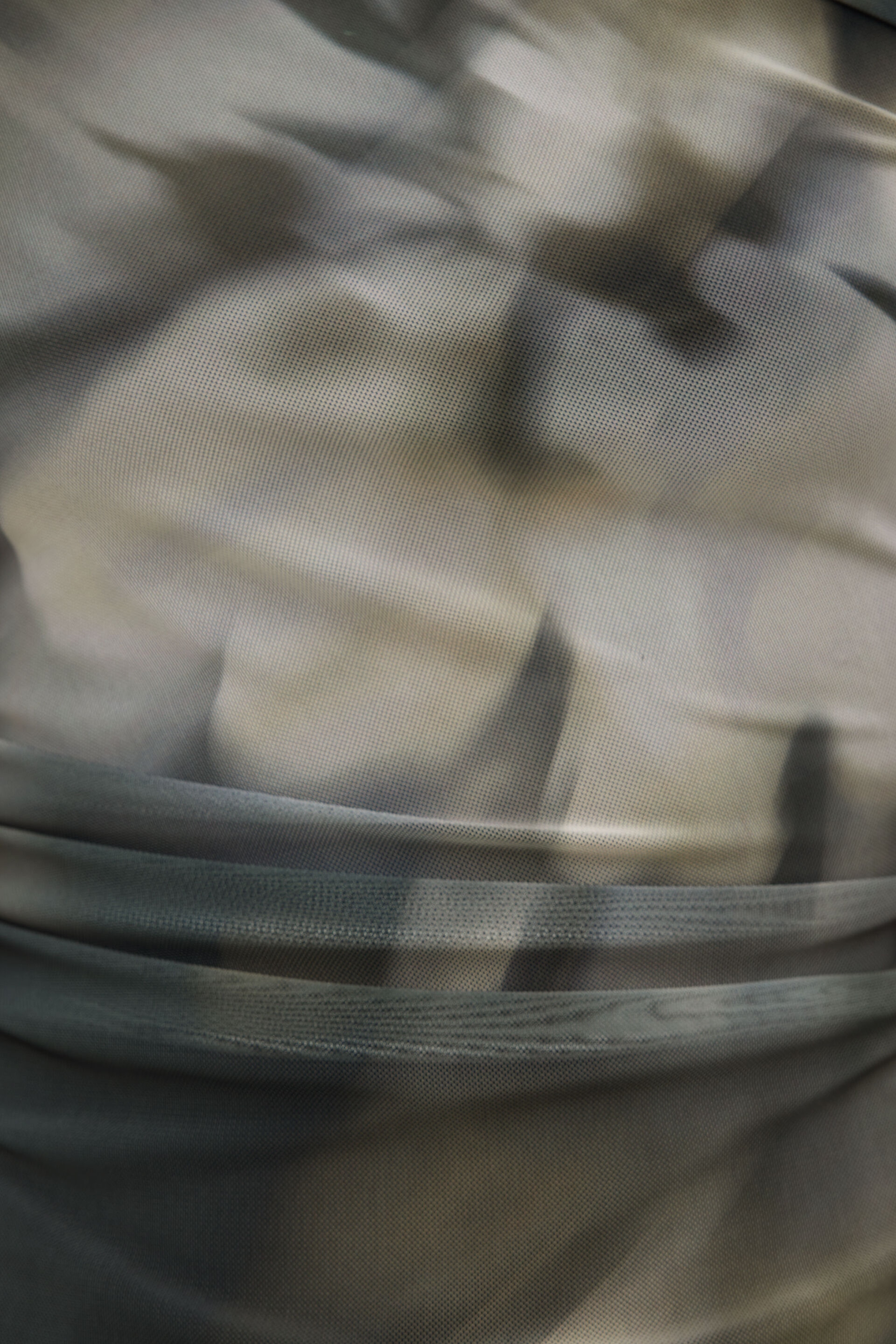 Cleo Printed Mesh Long Sleeve Top