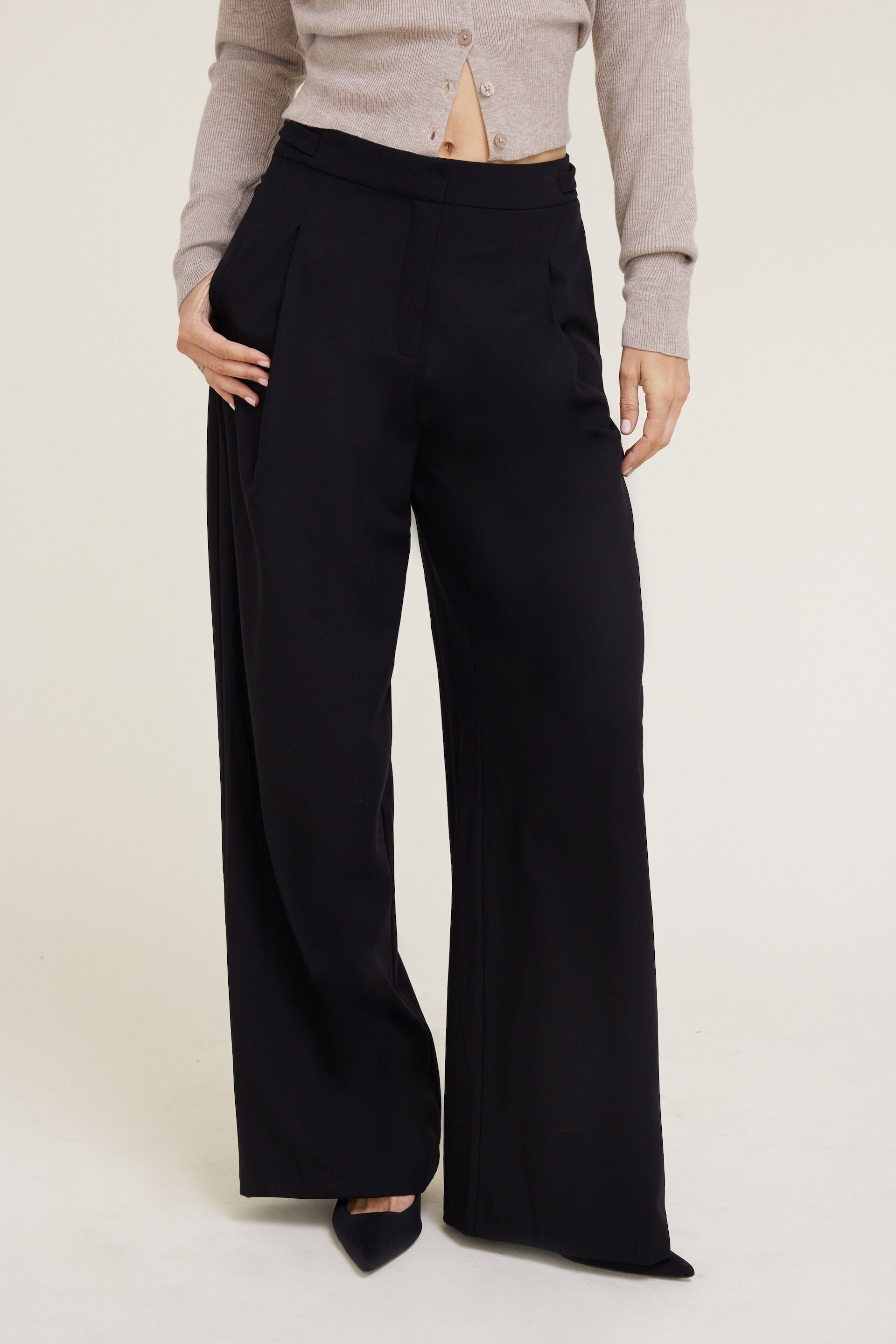 Leni Pleated Wide Leg Pants